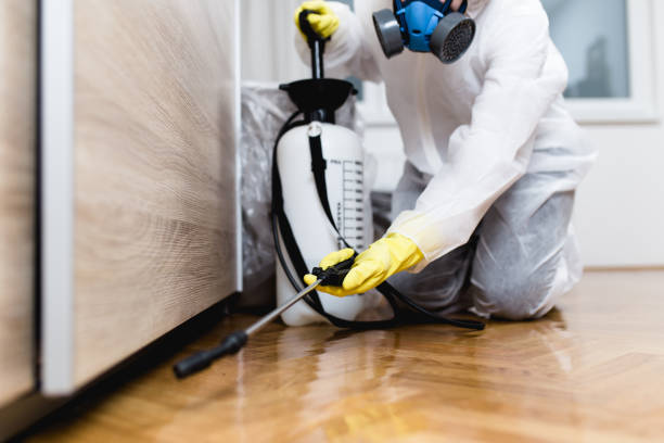 Best Commercial Pest Control Services  in Agua Fria, NM