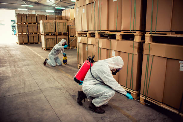 Best Best Pest Control Companies  in Agua Fria, NM