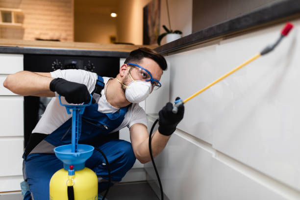 Best Termite Control Services  in Agua Fria, NM
