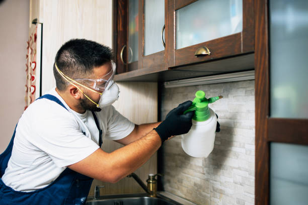 Flea Control Services in Agua Fria, NM