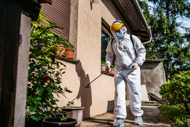 Best Pest Inspection Near Me  in Agua Fria, NM