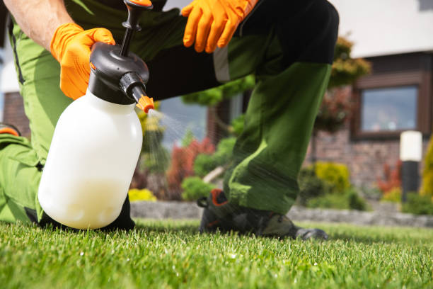 Best Best Pest Control Companies  in Agua Fria, NM