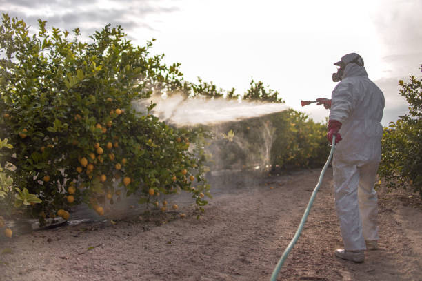 Best Best Pest Control Companies  in Agua Fria, NM