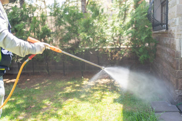 Best Insect Control  in Agua Fria, NM