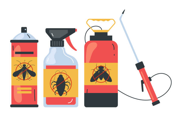 Best Ant Control Services  in Agua Fria, NM