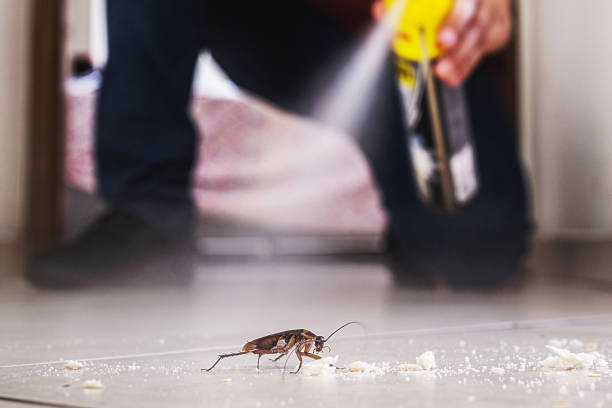 Best Pest Removal Services  in Agua Fria, NM